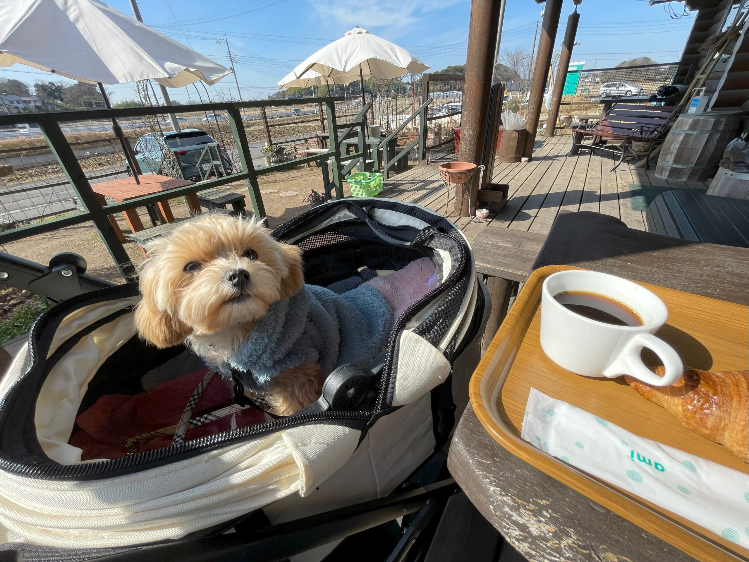 愛犬とランチ「パン焼き小屋 ピッパラの樹」さん in 千葉県印旛郡