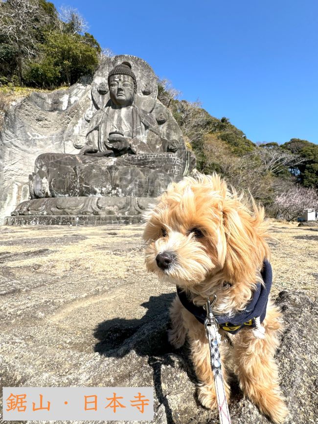 愛犬と「鋸山・日本寺」in 房総半島