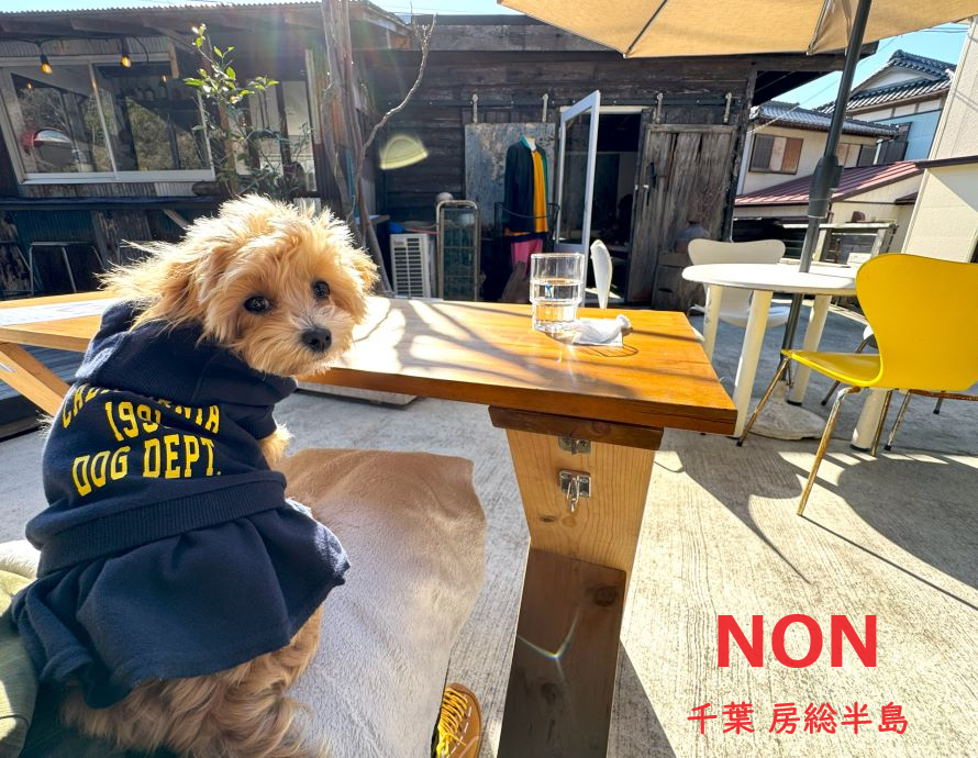 愛犬とお食事「NON」さん 房総半島 千葉県富津市