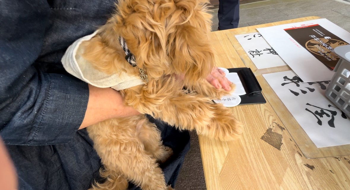 愛犬🐶肉球スタンプで健康祈願「熊野皇大神社」長野県軽井沢町