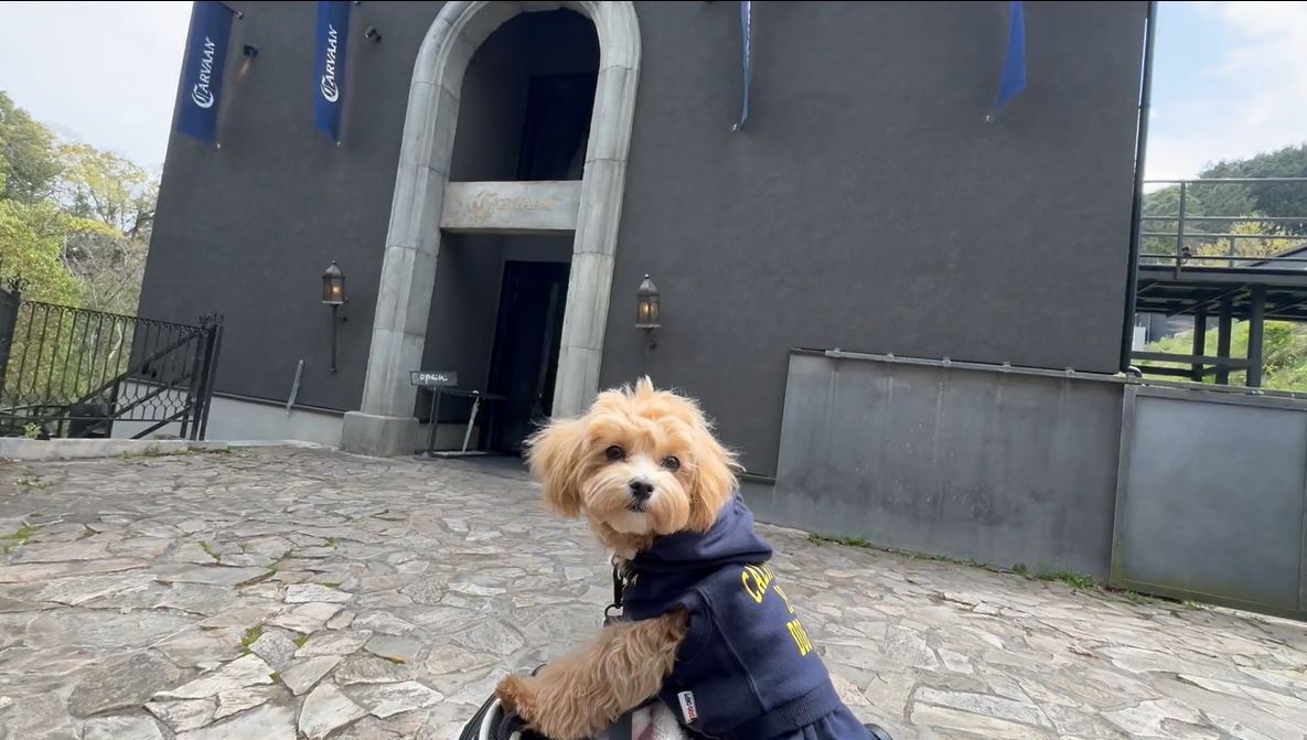 むぎ🐶とお出かけ「CARVAAN飯能 (カールヴァーン)」埼玉県飯能市