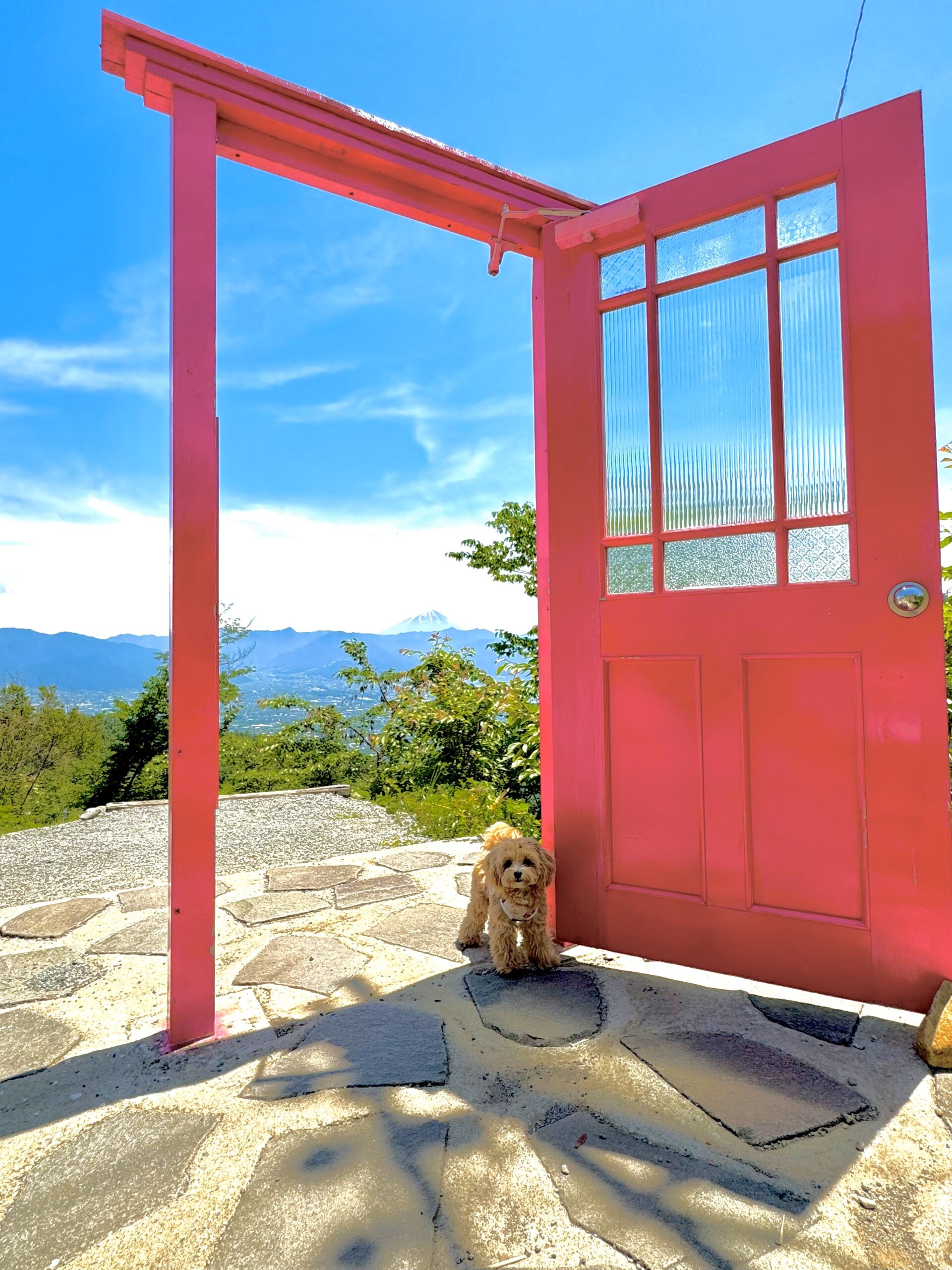 愛犬🐶とみる富士山「CAFE 山歩 SANPO」さん