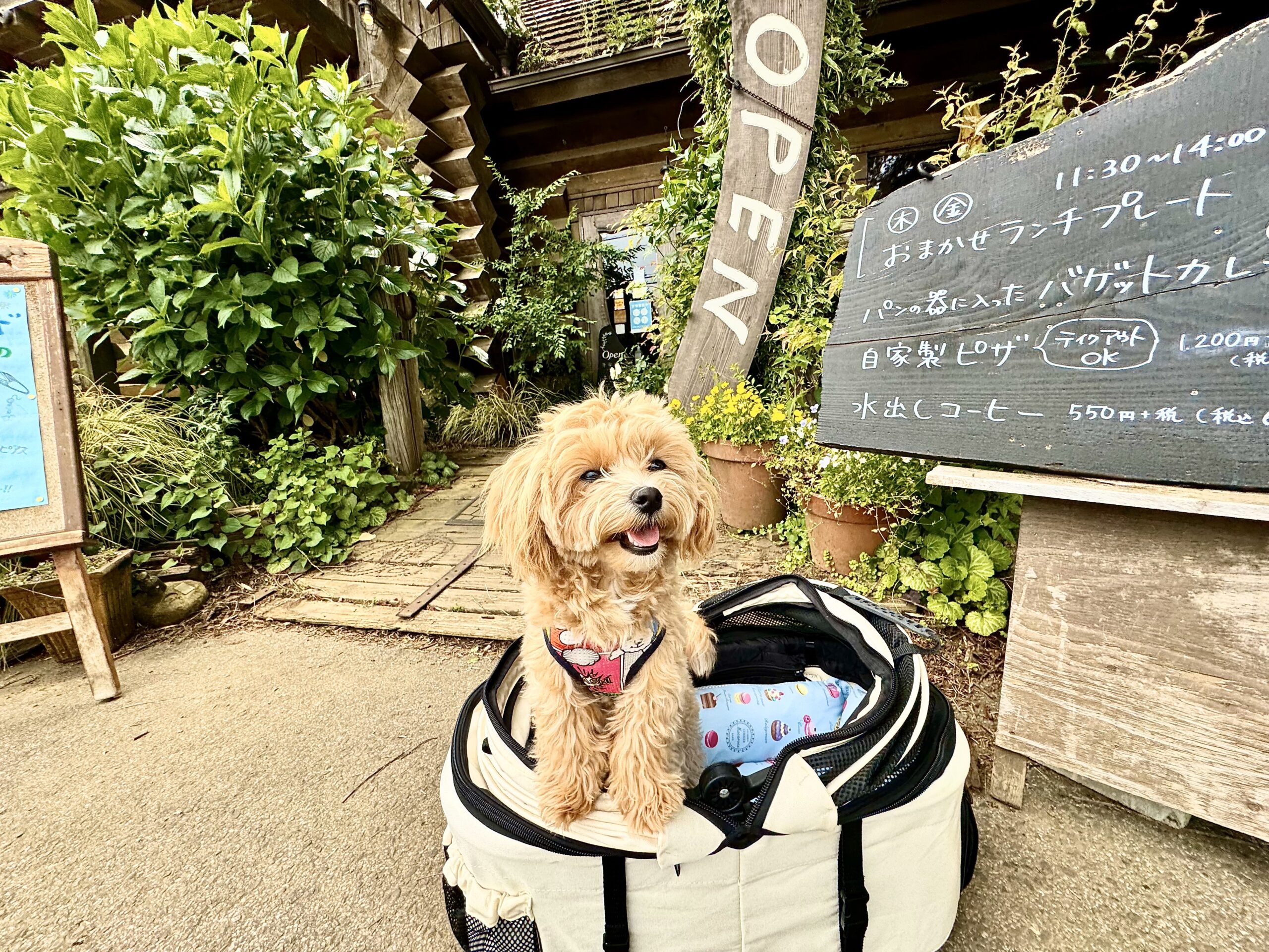 愛犬🐶とお出かけ「ぬく森」さん