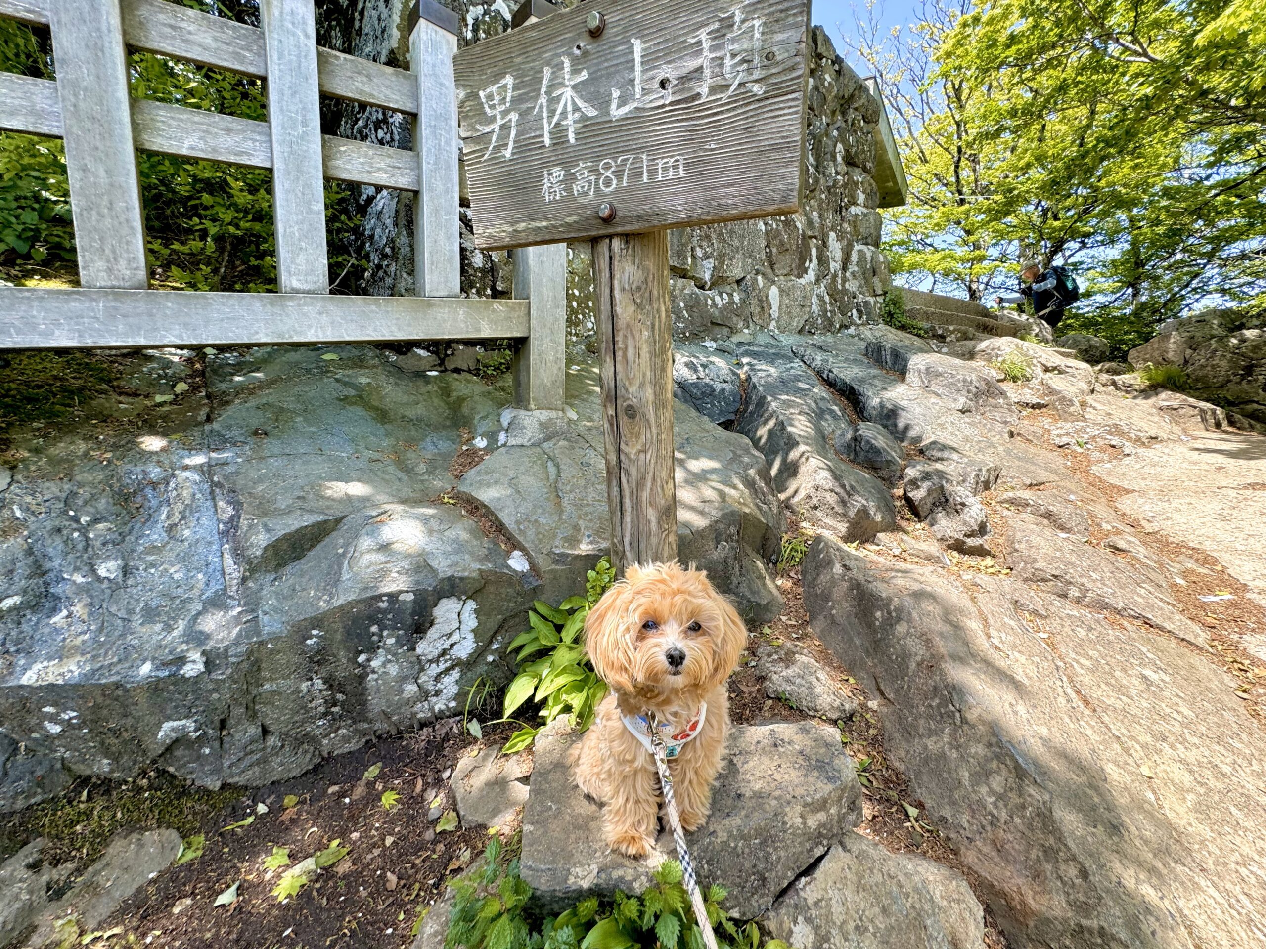 むぎ🐶と登山「筑波山」＆ "877 Stand"さん